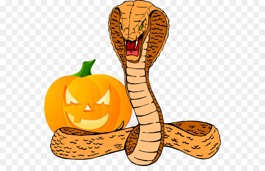 King Cobra，Cobra PNG