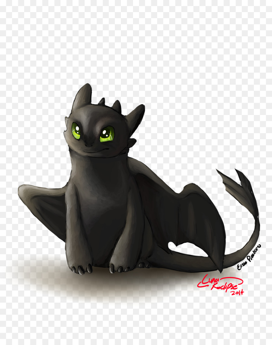 Gato，Carnivora PNG