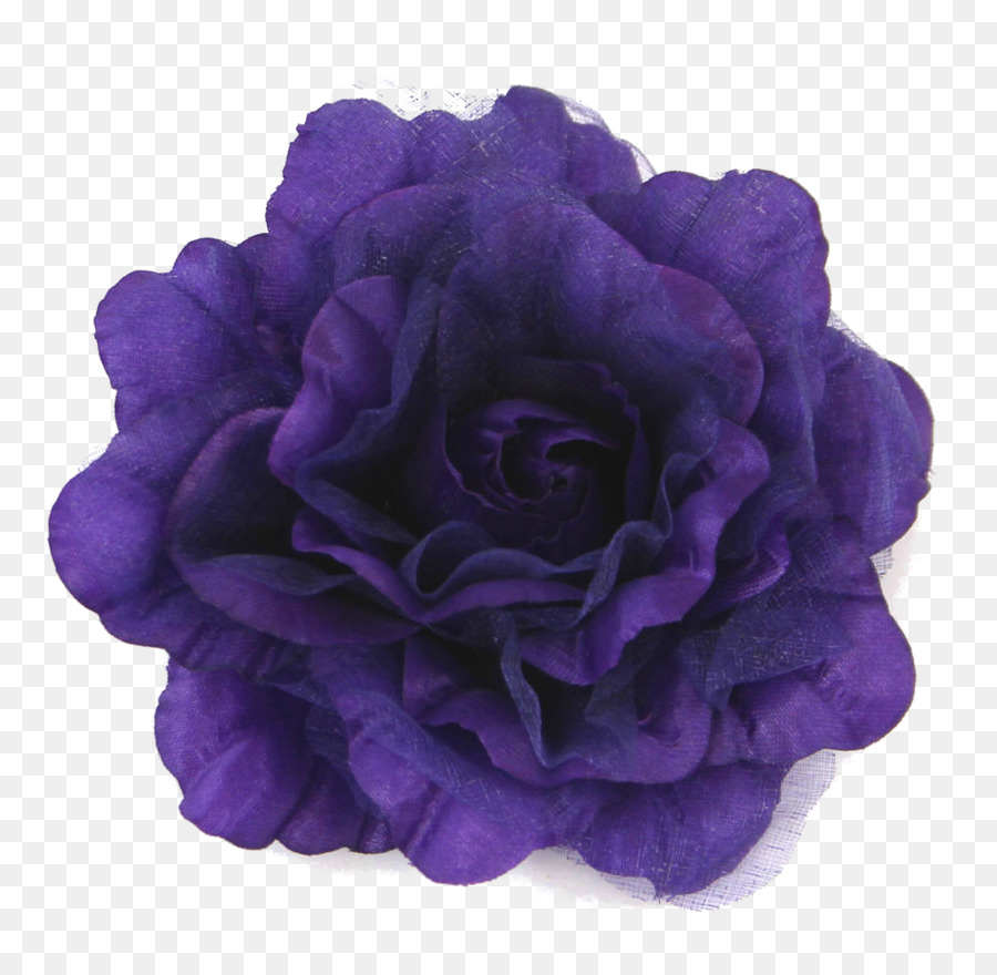 Violeta，Flor PNG