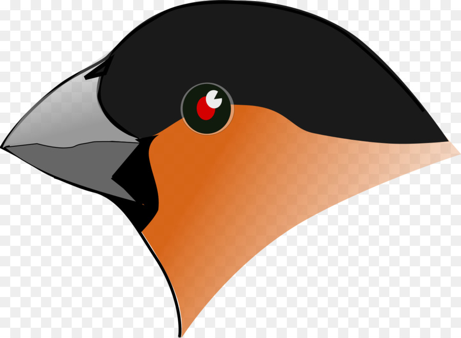 Pájaro，Camachuelo PNG