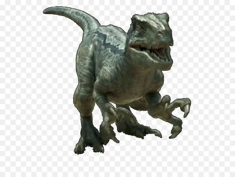 Velociraptor，Tyrannosaurus PNG