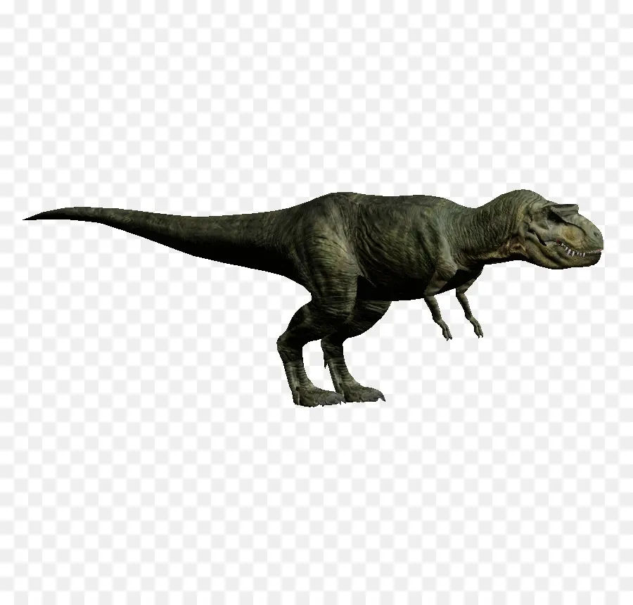 Tyrannosaurus，Velociraptor PNG