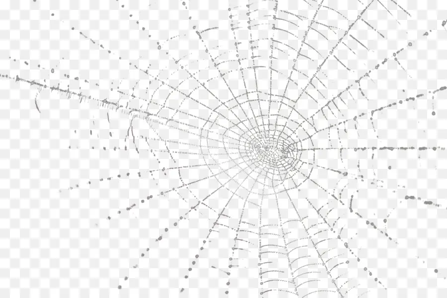 Telaraña，Blanco PNG