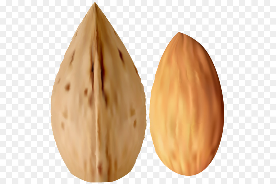 Almendras，Almendra PNG