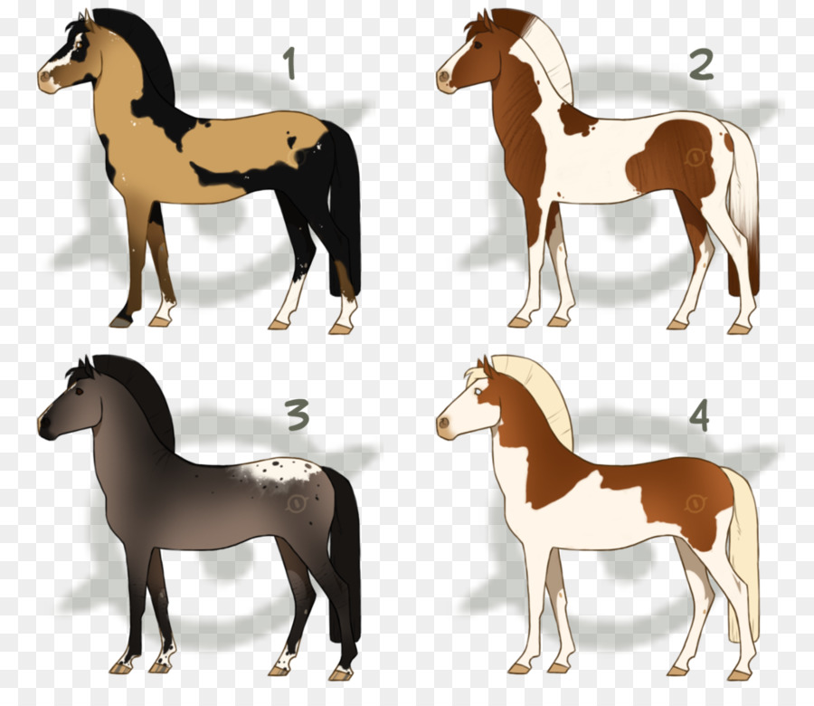 Mustang，Pony PNG