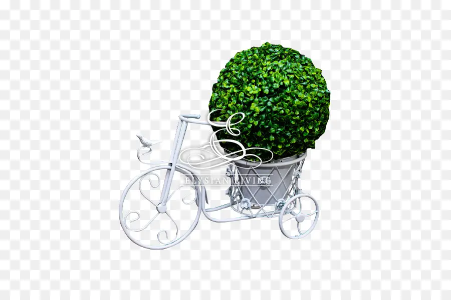 Planta，Bicicleta PNG