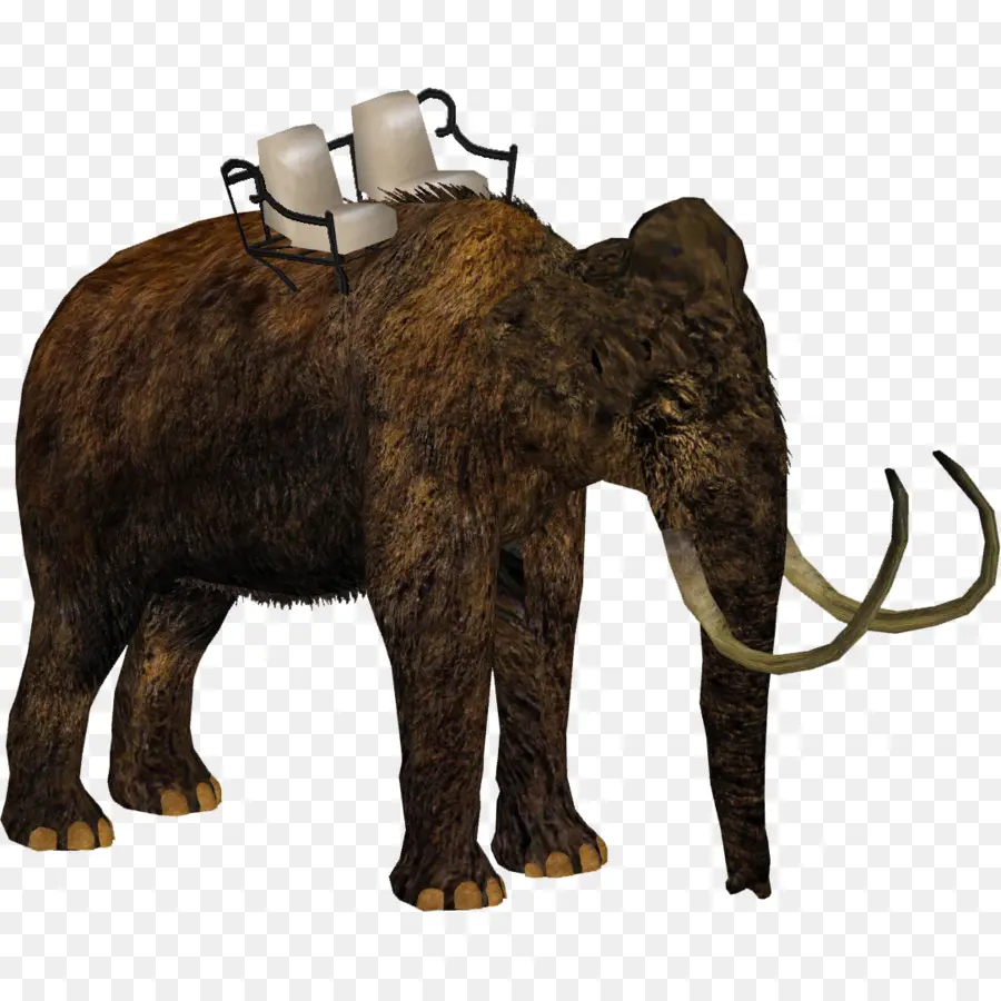 Zoo Tycoon 2 Marine Mania，El Elefante Africano PNG