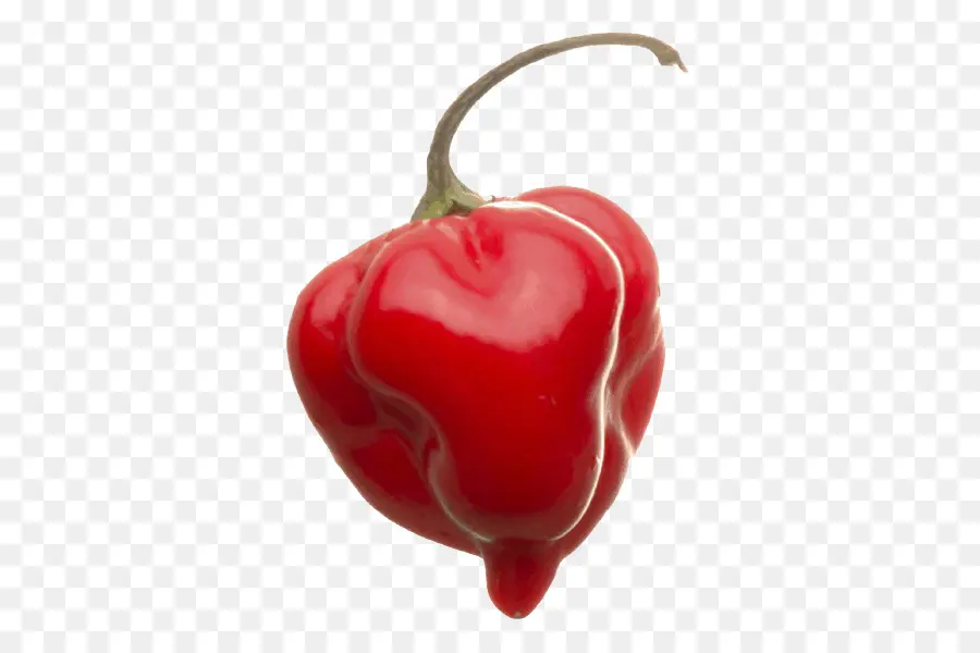 Habanero，Red Savina Pimienta PNG