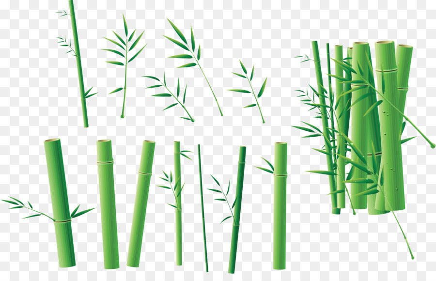 Bambú，Cuatro Caballeros PNG