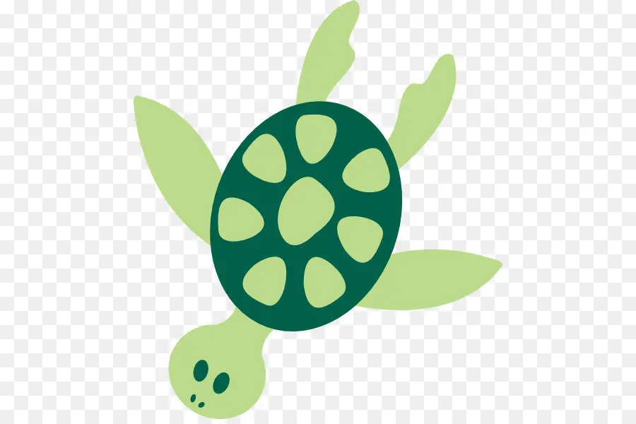 Tortuga，Verde PNG