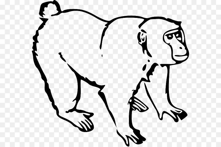 Mono，Ape PNG