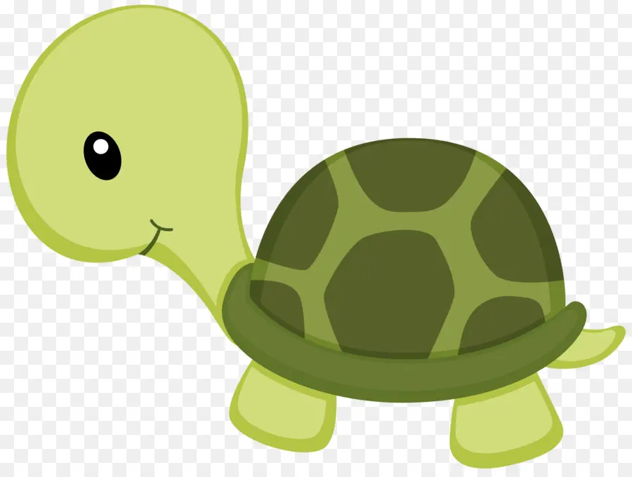 Tortuga，Dibujo PNG