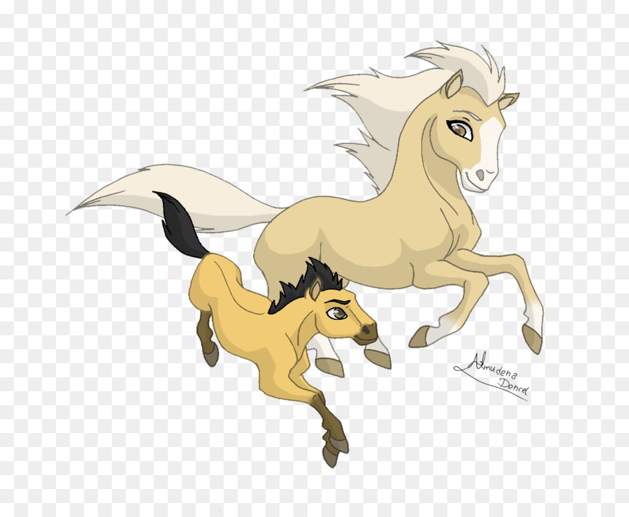 Caballo，Youtube PNG