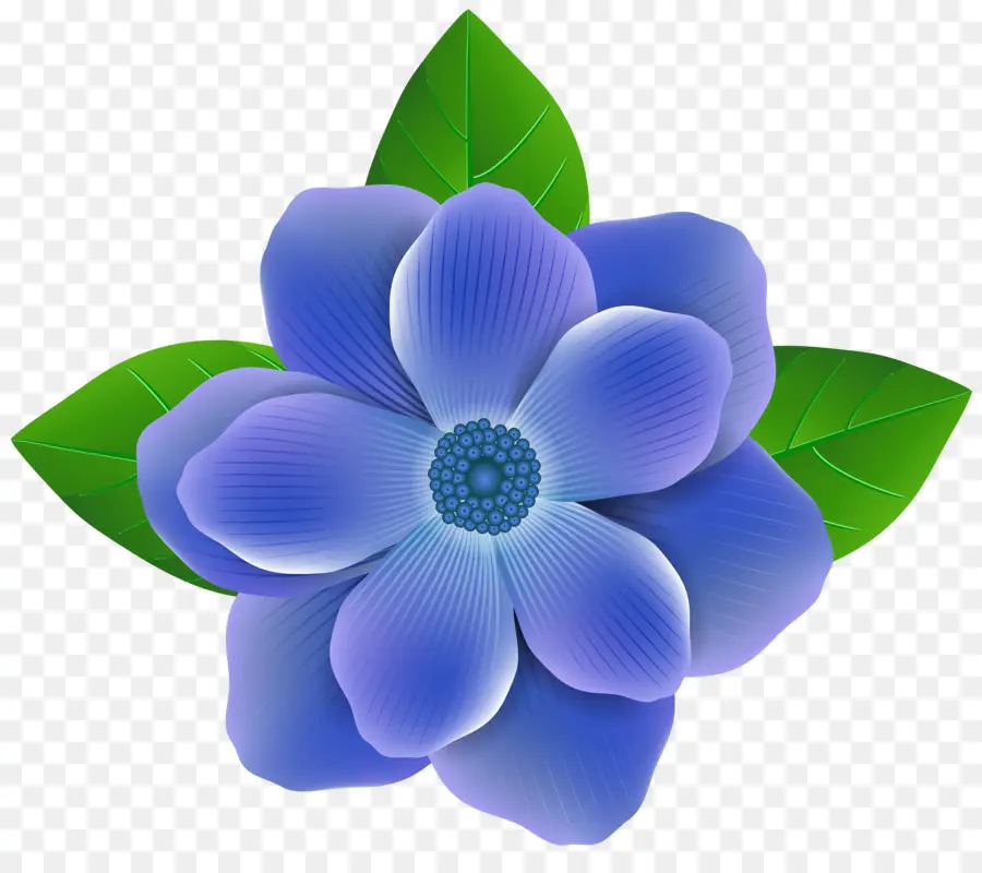 Flor Azul，Pétalos PNG