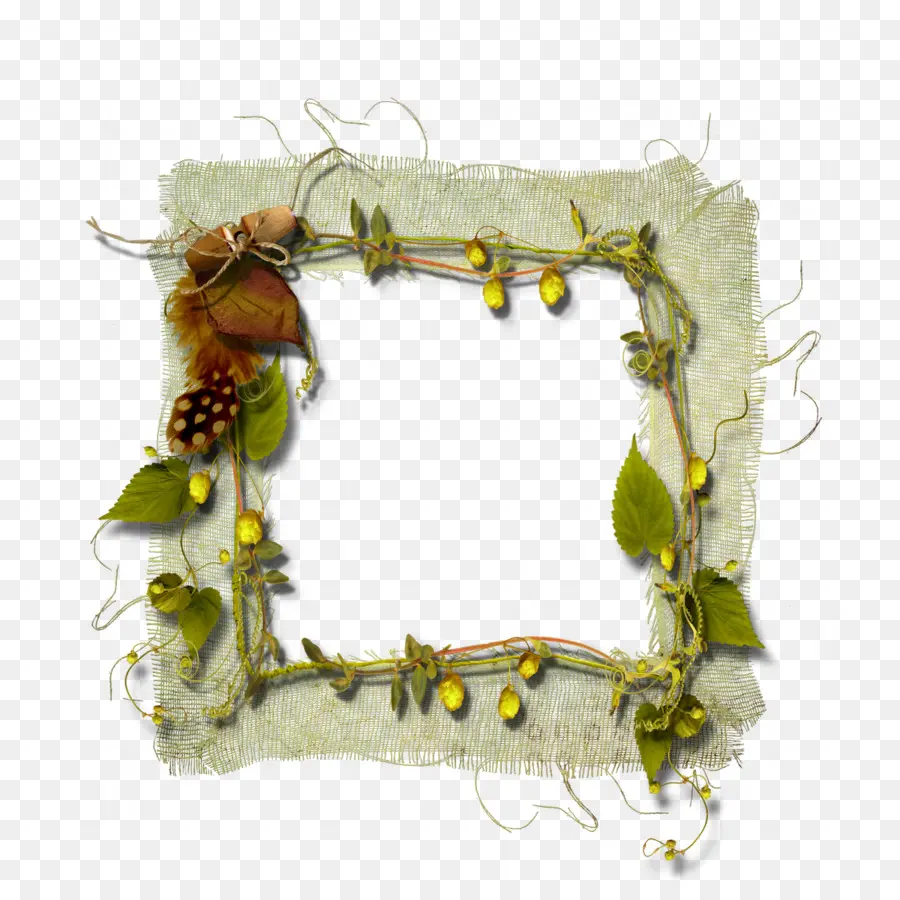 Marco De La Naturaleza，Decorativo PNG