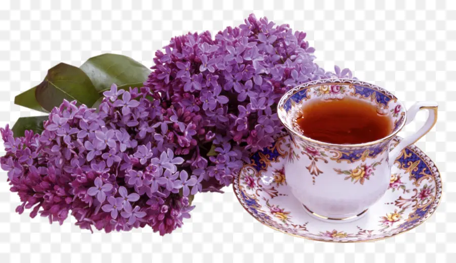 Té Y Lilas，Té PNG