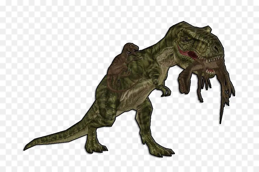 Tiranosaurio，Velociraptor PNG