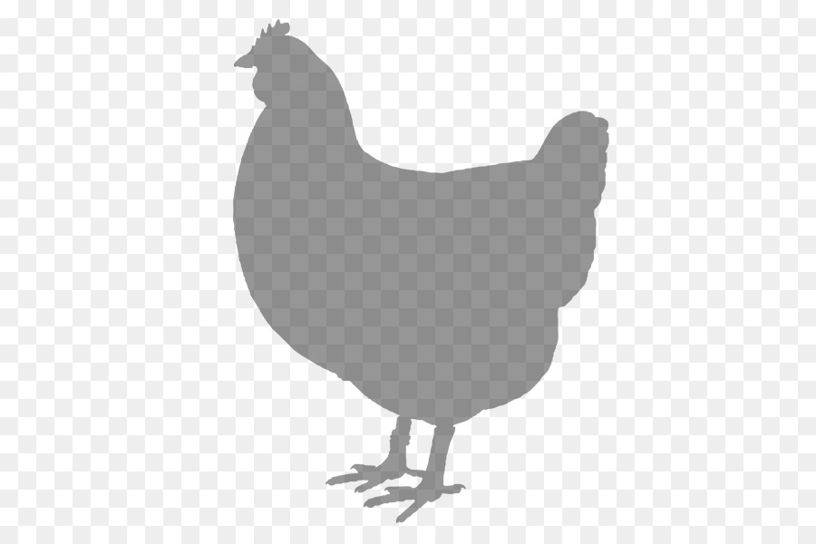 Pollo，El Pollo Frito PNG