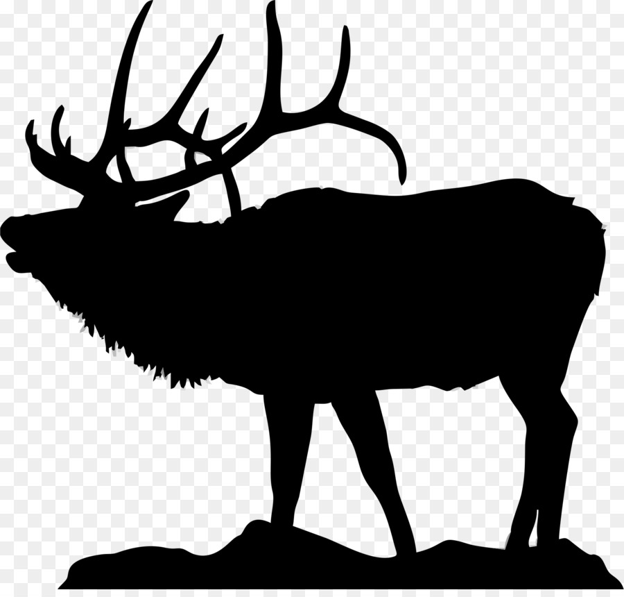 Elk，Los Ciervos PNG