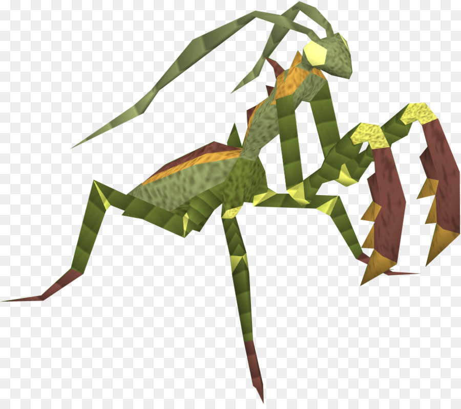 Los Insectos，Mantis PNG