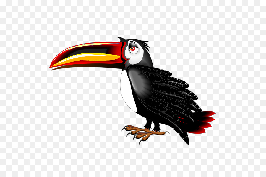 Pájaro，Tucán PNG