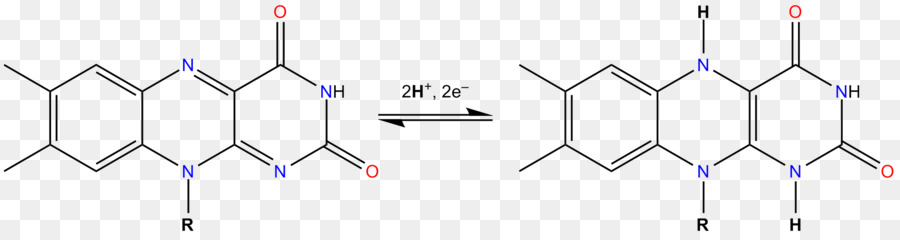 Reacción Química，Molécula PNG