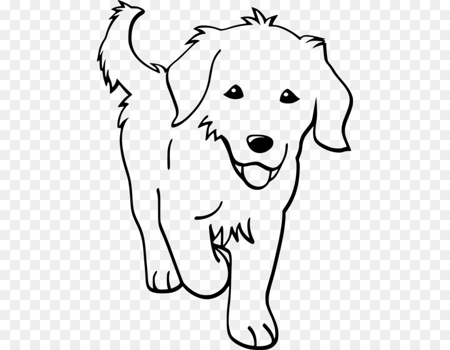 Golden Retriever，Cachorro PNG