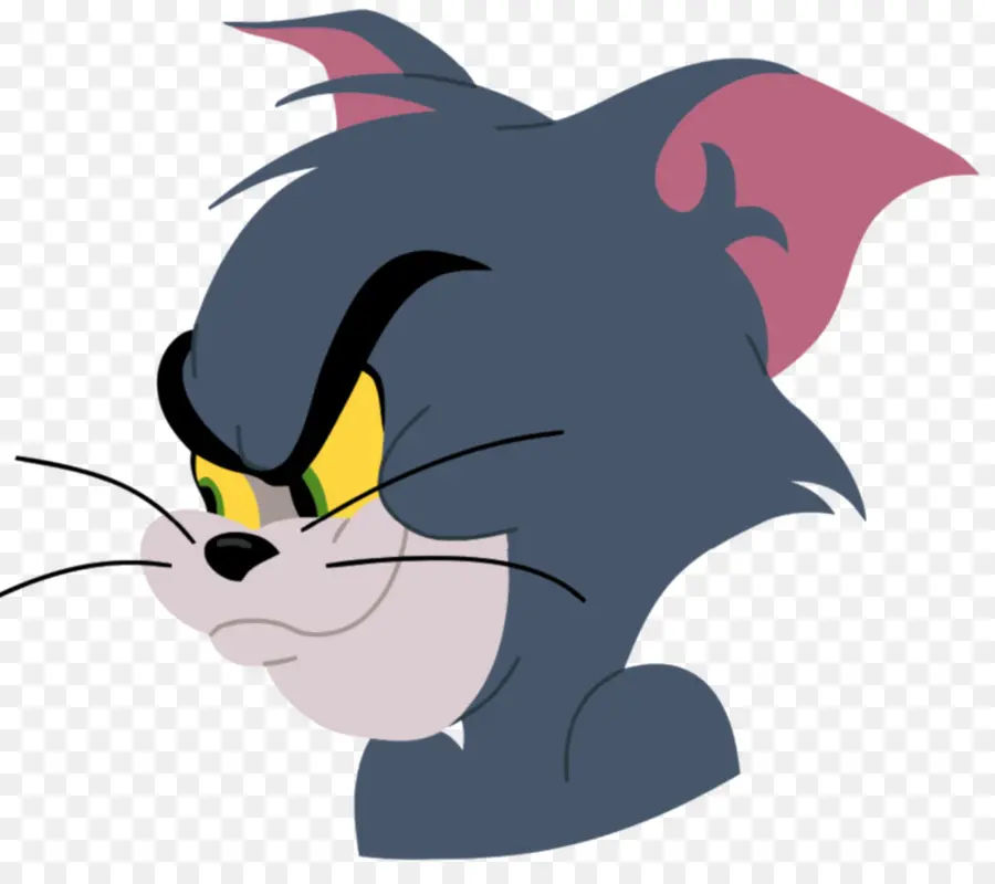 Gato Tom，Gato PNG