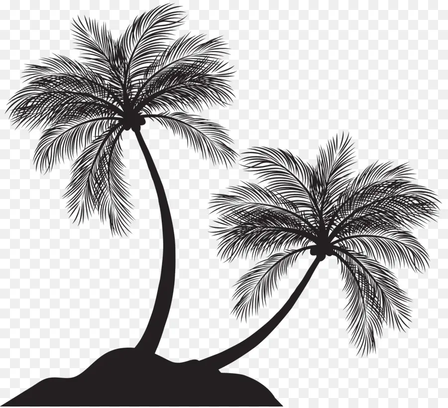 Arecaceae，árbol PNG