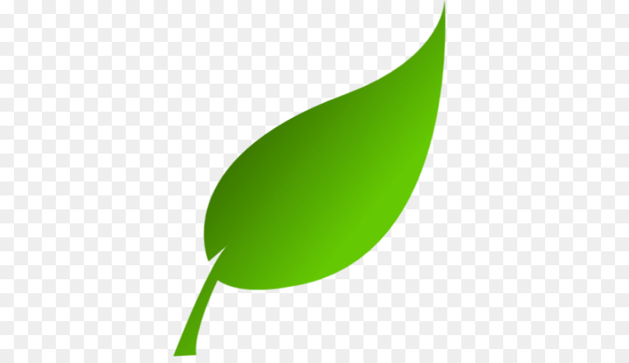 Hojas Verdes，Planta PNG