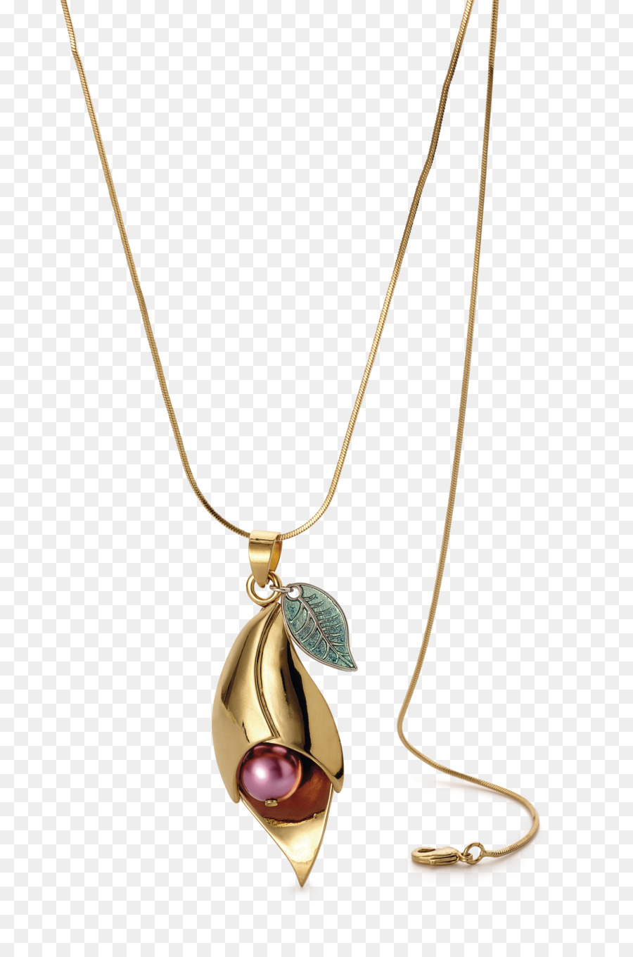 Joyería，Accesorios De Ropa PNG