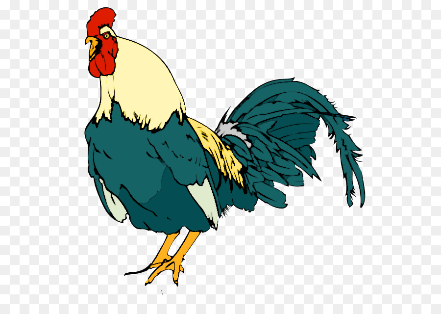 Gallo，Pollo PNG