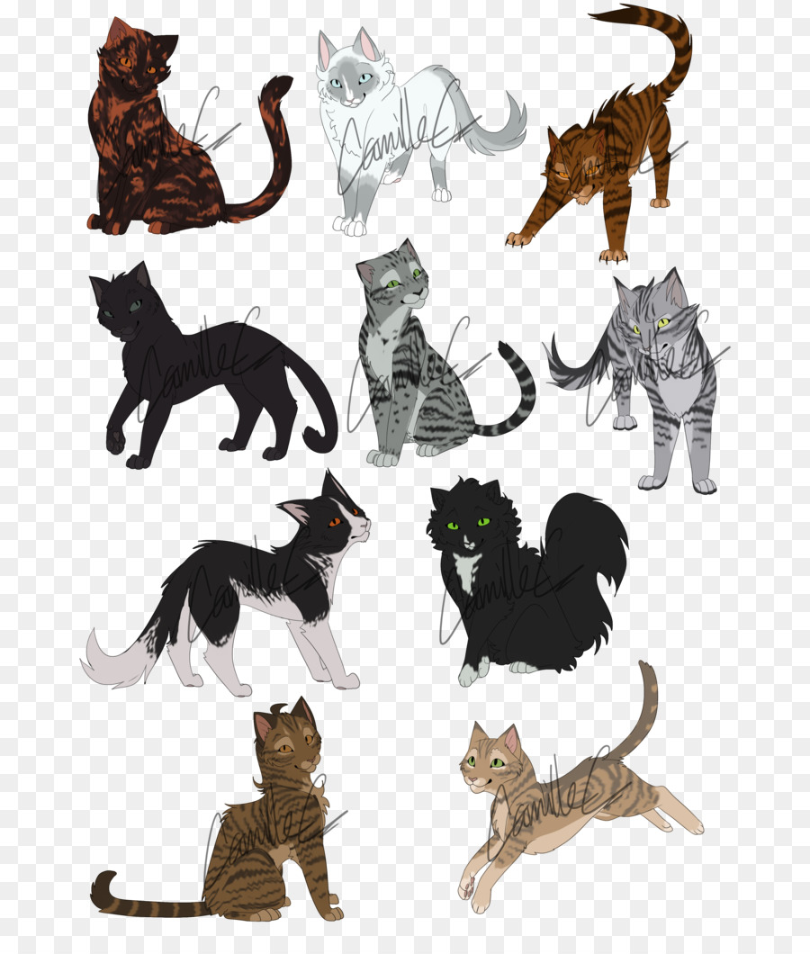 Gatos De Dibujos Animados，Felino PNG