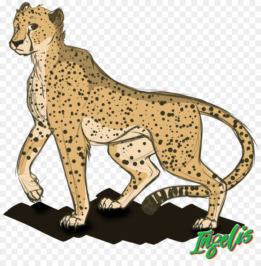 Gato，Cheetah PNG