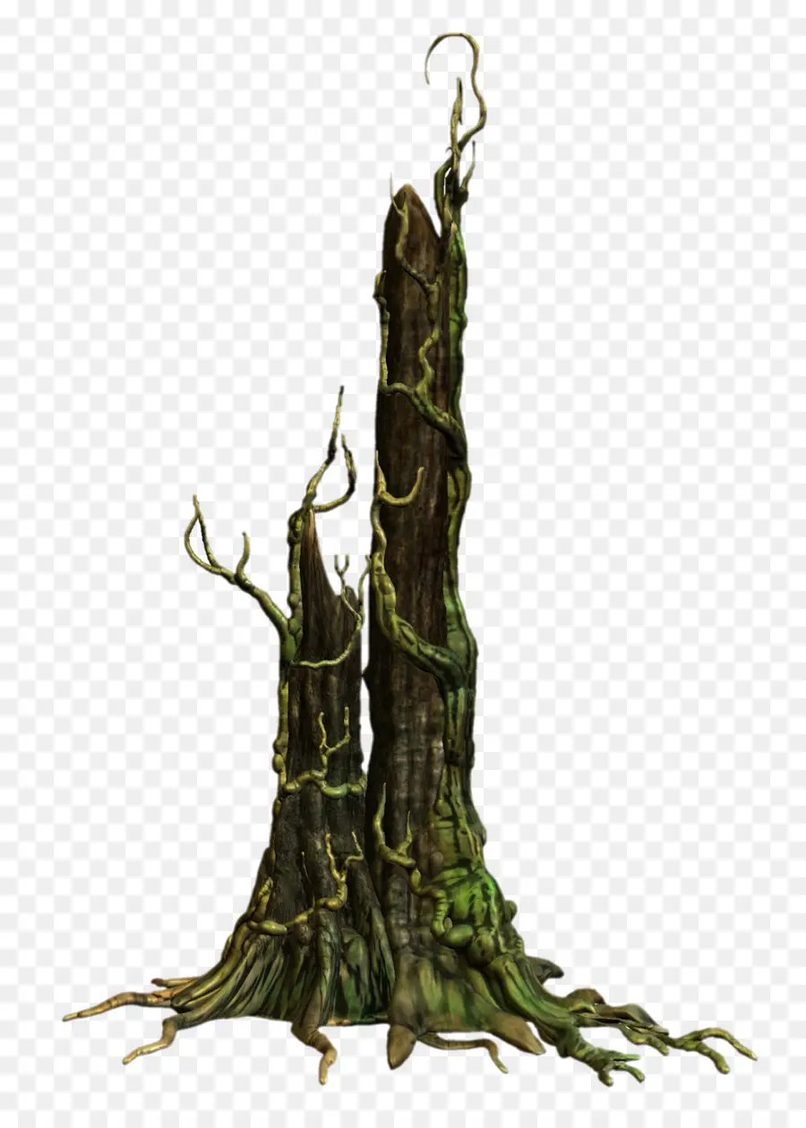 árbol Muerto，Sucursales PNG