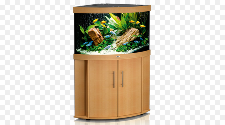 Acuario，Koi PNG