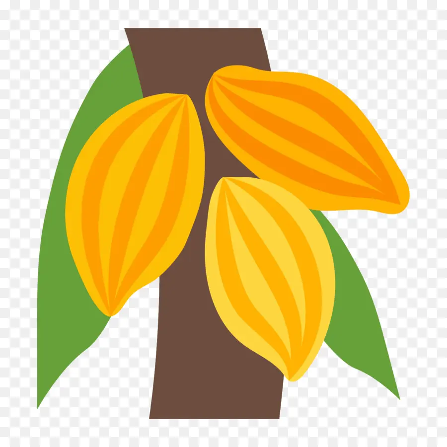 Iconos De Equipo，Theobroma Cacao PNG