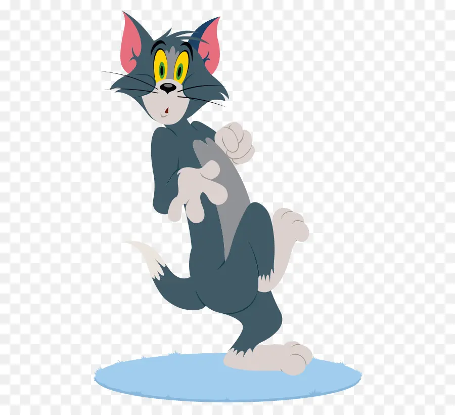 Gato Tom，Gato PNG