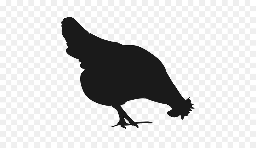 Pollo，Silueta PNG