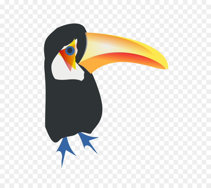 Tucán，Toco Toucan PNG