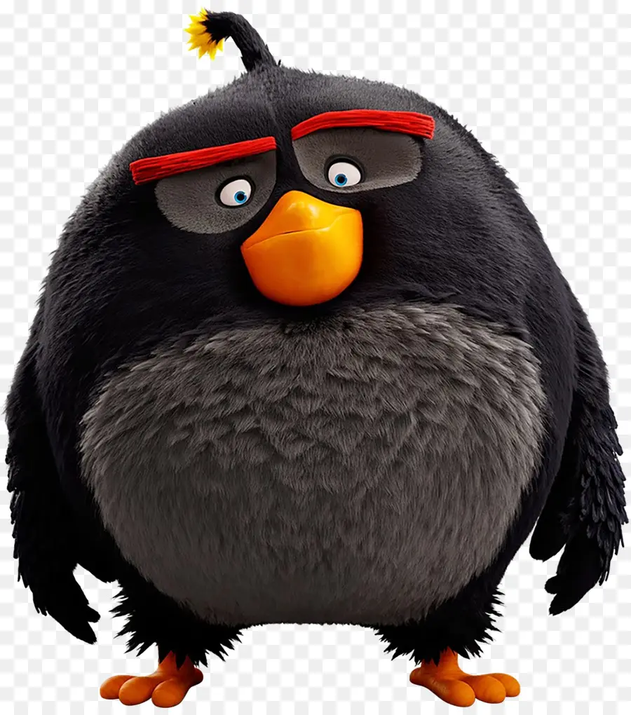 Pájaro Negro，Dibujos Animados PNG