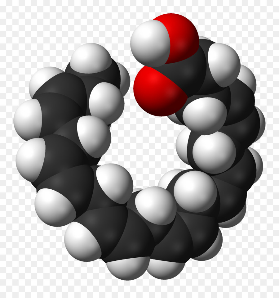 Omega 3 ácidos Grasos，El ácido Docosahexaenoico PNG