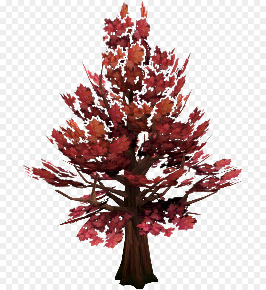 Árbol，Sucursales PNG