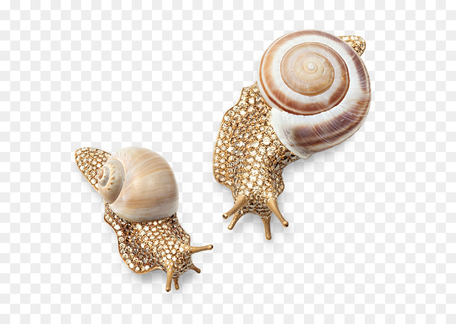 Joyería，Broche PNG