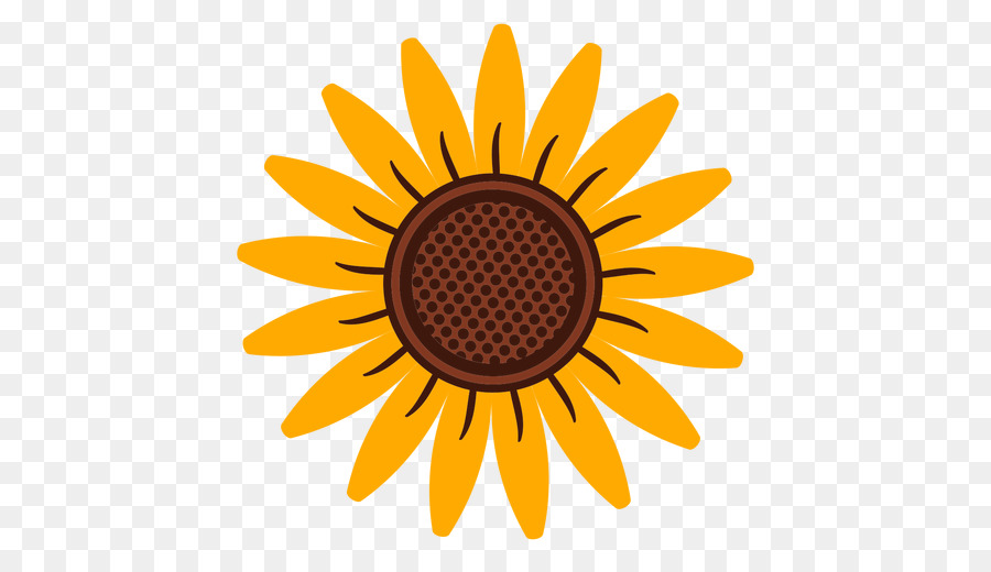 Girasol，Flor PNG