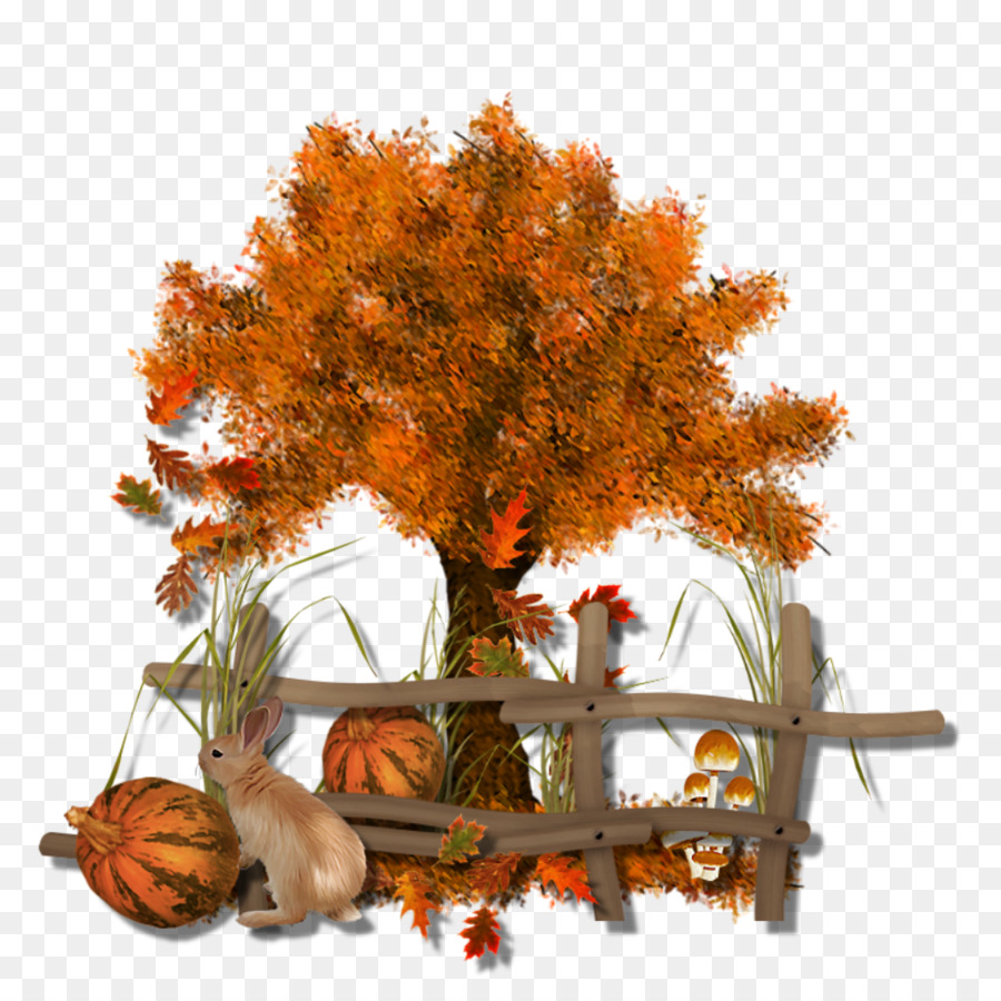 árbol De Otoño，Hojas De Otoño PNG