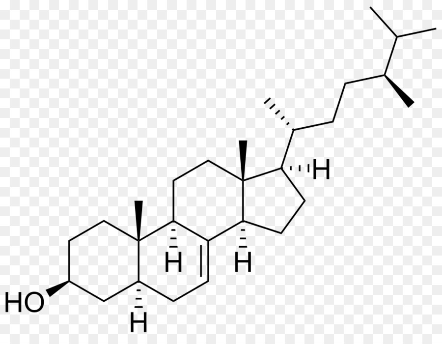 Estructura Química，Molécula PNG