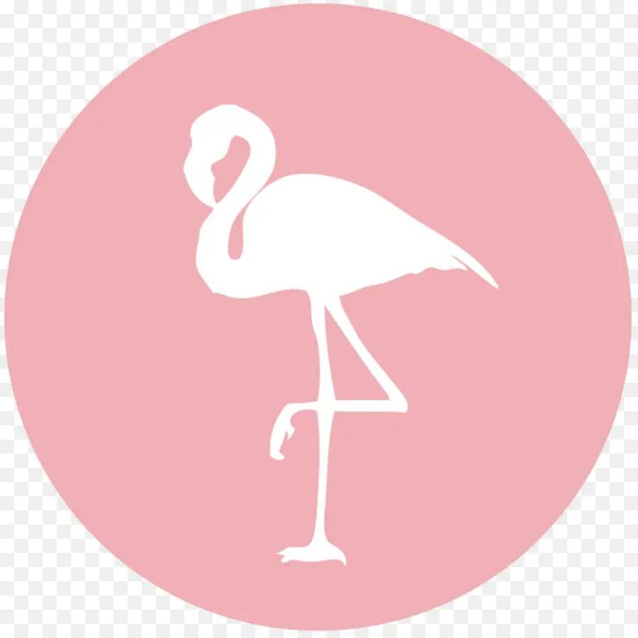 Flamingo，Pastel De Boda PNG