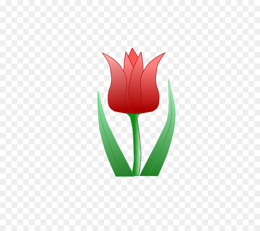 Tulipán，Provenir PNG