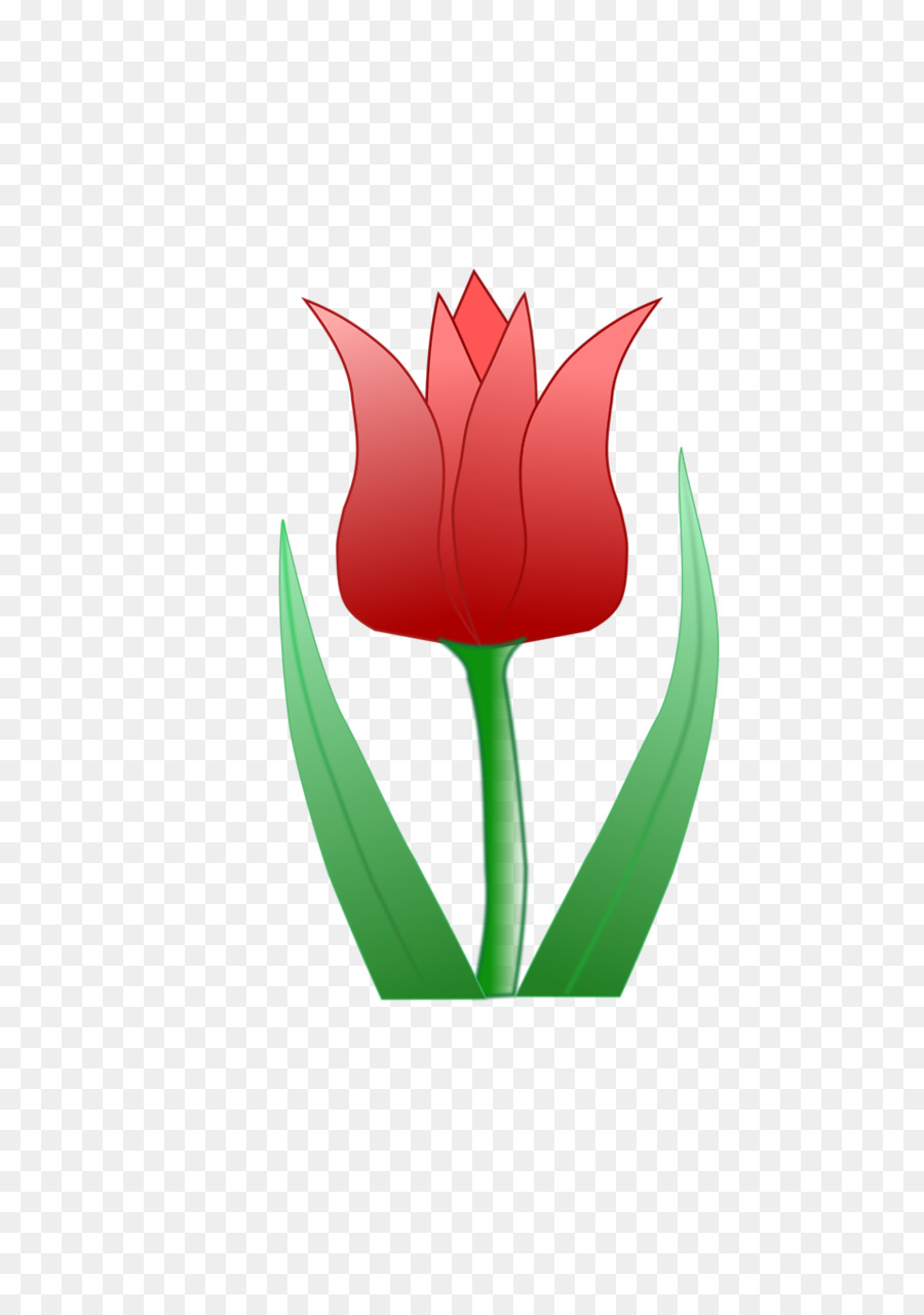 Flor，Tulipán PNG